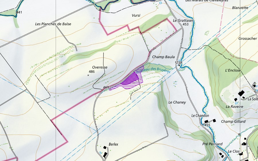 Landeskarte swisstopo mit dem Schutzperimeter von Overesses (Amphibienlaichgebiet)