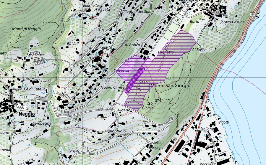 Landeskarte swisstopo mit dem Schutzperimeter von Palude San Giorgio (Amphibienlaichgebiet)