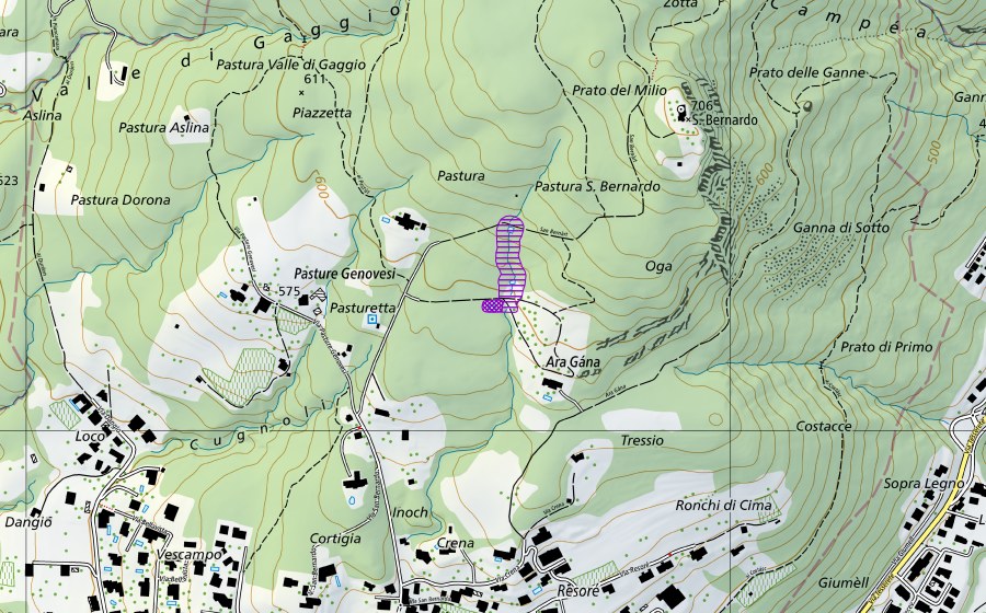 swisstopo national map showing the protected perimeter of Pastura (Amphibian spawning site)