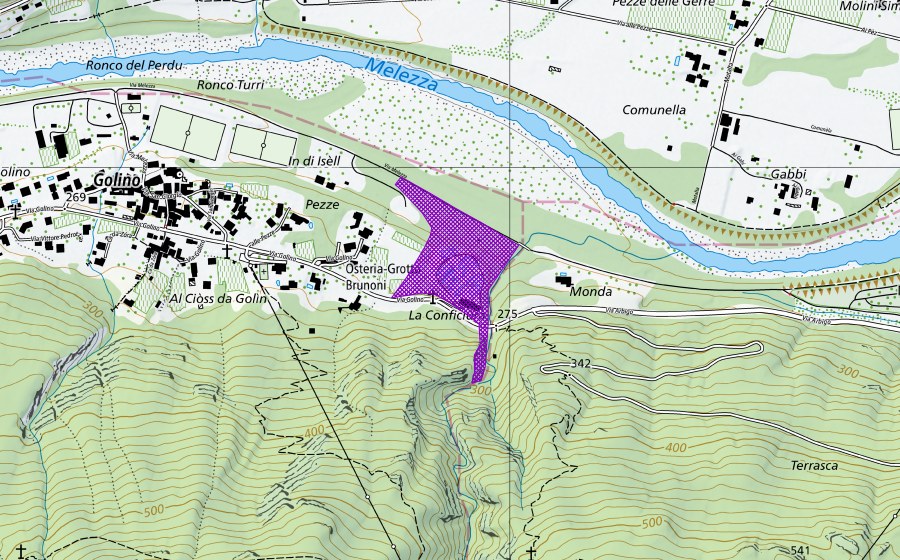 Landeskarte swisstopo mit dem Schutzperimeter von Pescicoltura Golino (Amphibienlaichgebiet)