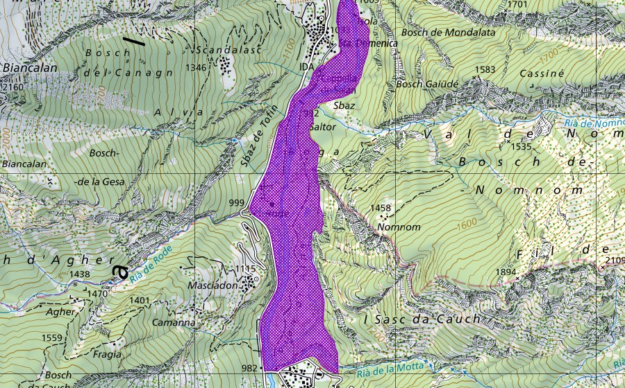 swisstopo national map showing the protected perimeter of Pian di Alne (Amphibian spawning site)