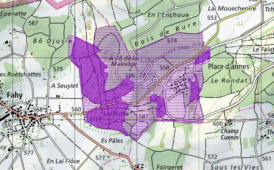 Carte nationale swisstopo avec le périmètre protégé de Place d'armes, le Nalé (Site de reproduction de batraciens)