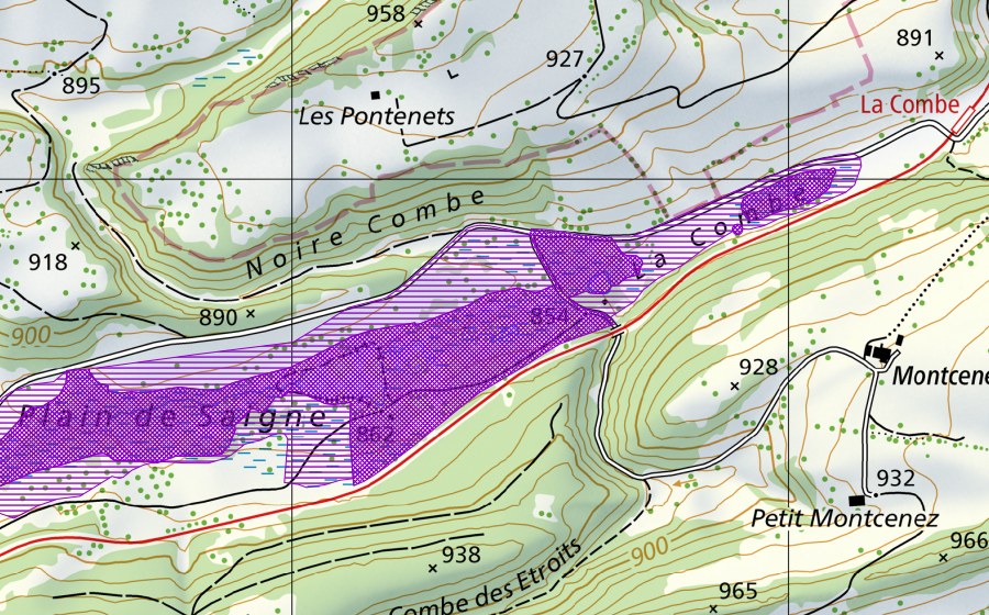 Carte nationale swisstopo avec le périmètre protégé de Plain de Saigne (Site de reproduction de batraciens)