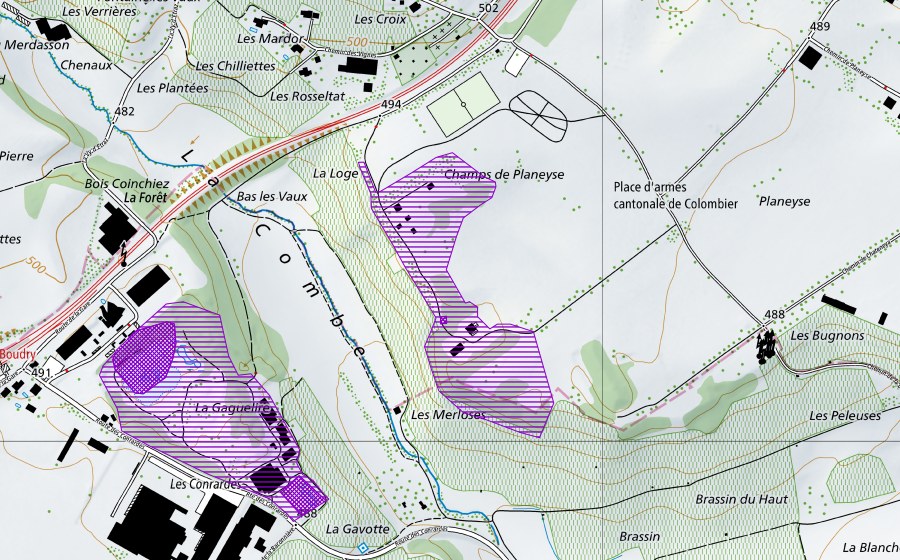 Landeskarte swisstopo mit dem Schutzperimeter von Planeyse (Amphibienlaichgebiet)
