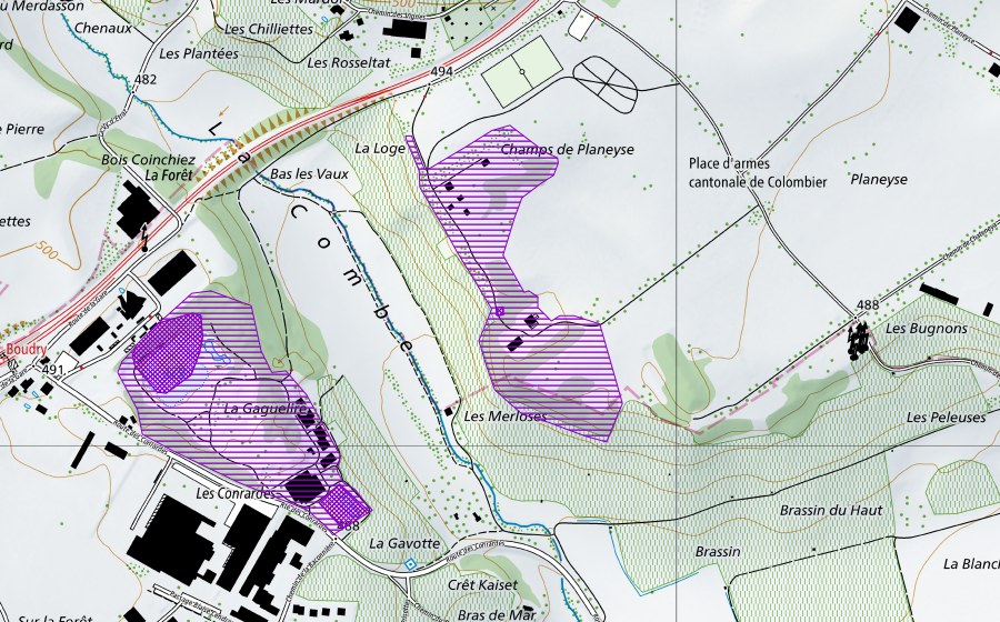Landeskarte swisstopo mit dem Schutzperimeter von Planeyse (Amphibienlaichgebiet)