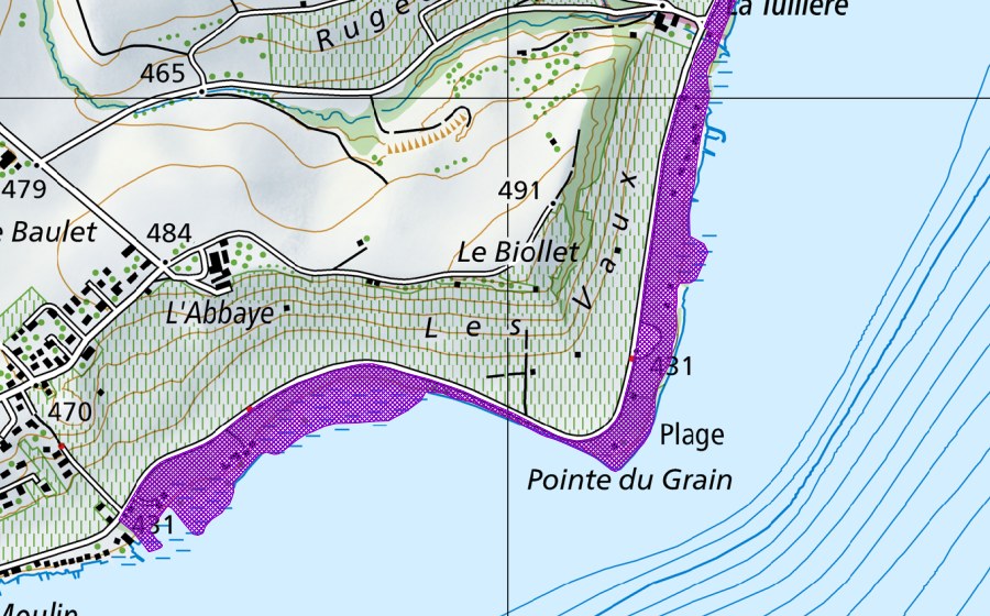 Carte nationale swisstopo avec le périmètre protégé de Pointe du Grain (Site de reproduction de batraciens)