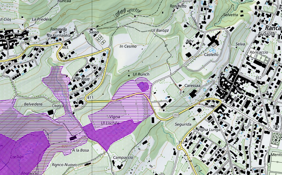 Carte nationale swisstopo avec le périmètre protégé de Pozza Pavü Ronco (Site de reproduction de batraciens)