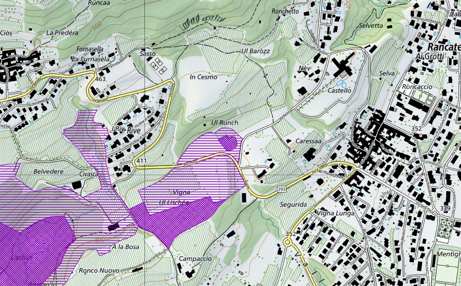 Carte nationale swisstopo avec le périmètre protégé de Pozza Pavü Ronco (Site de reproduction de batraciens)