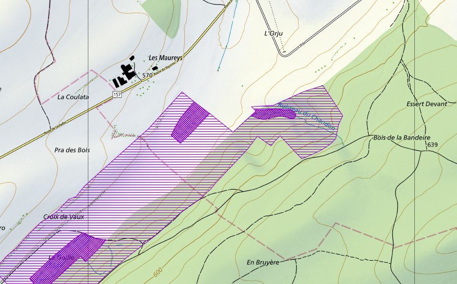 Landeskarte swisstopo mit dem Schutzperimeter von Pra-les-Bous (Amphibienlaichgebiet)