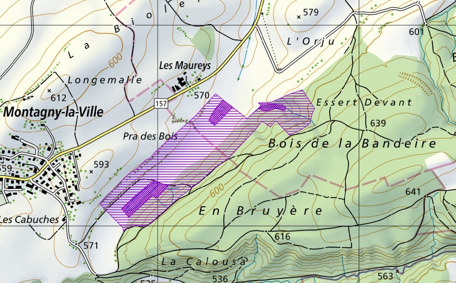 swisstopo national map showing the protected perimeter of Pra-les-Bous (Amphibian spawning site)