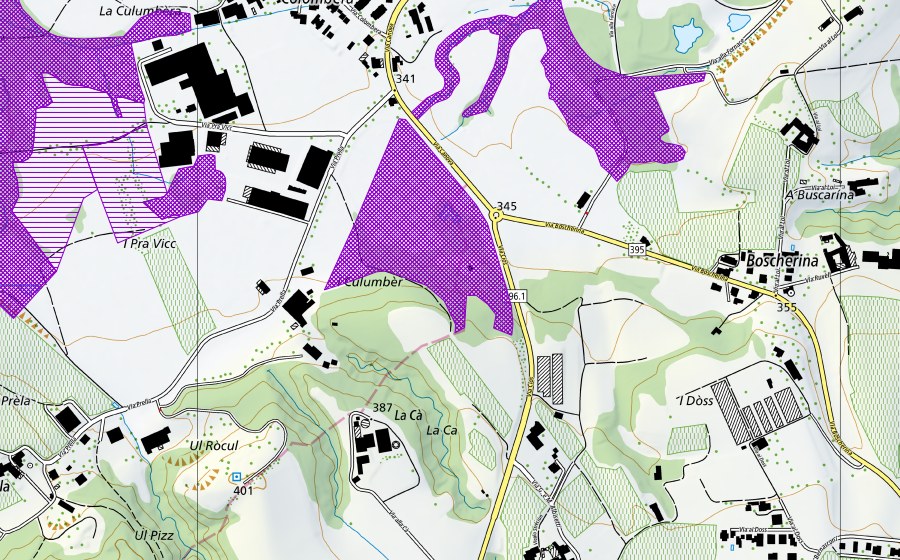 swisstopo national map showing the protected perimeter of Prato Grande (Amphibian spawning site)
