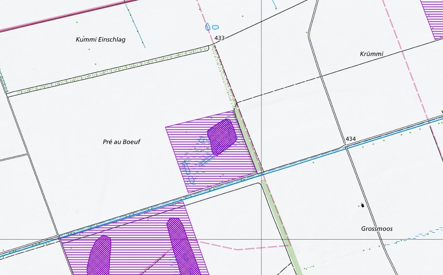 swisstopo national map showing the protected perimeter of Pré aux Boeufs (Amphibian spawning site)