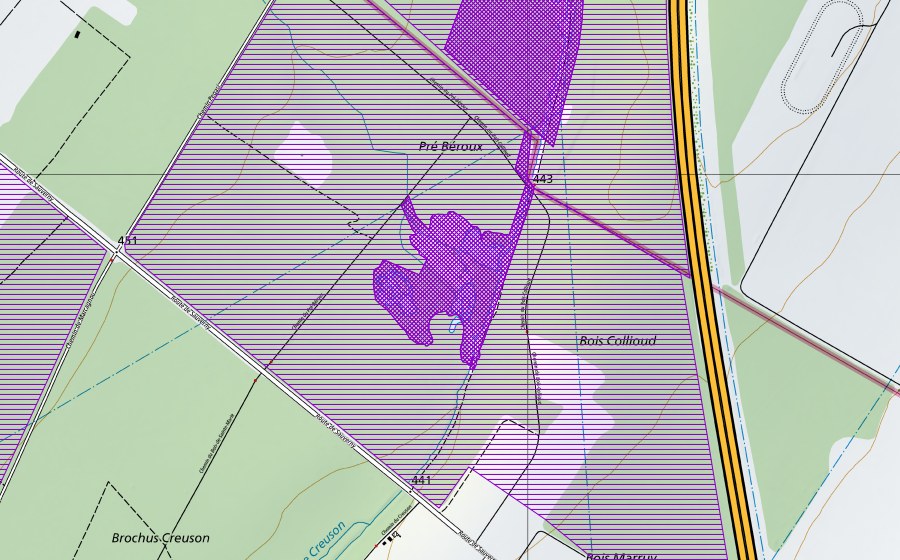 Landeskarte swisstopo mit dem Schutzperimeter von Pré-Béroux (Amphibienlaichgebiet)