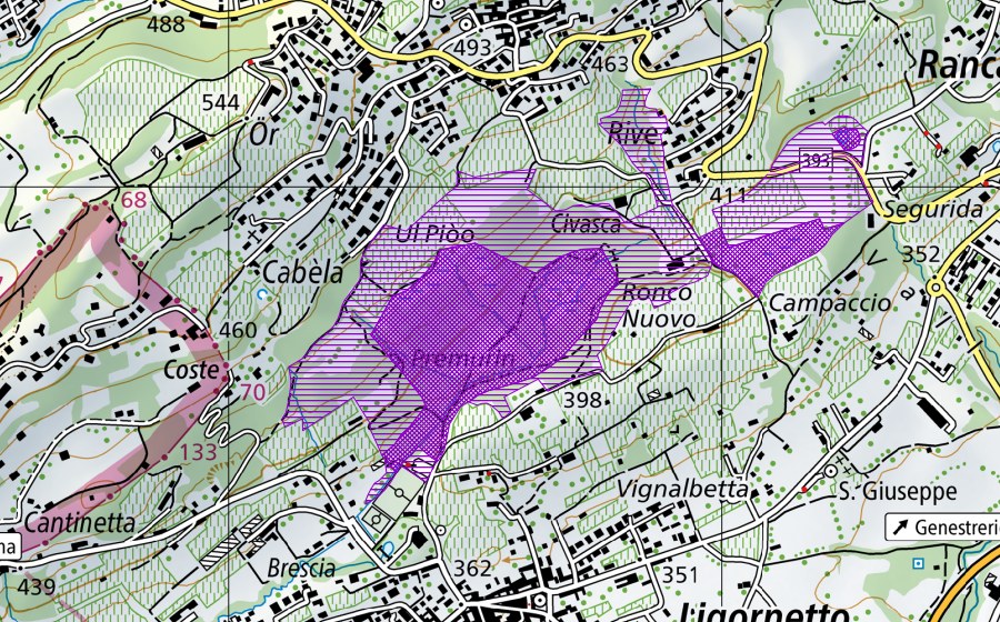 swisstopo national map showing the protected perimeter of Pre Murin (Amphibian spawning site)