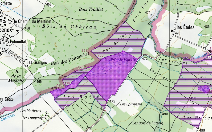 Carta nazionale swisstopo con il perimetro protetto di Prés de Villette (Sito di riproduzione di anfibi)