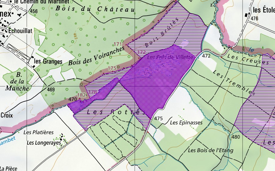 Landeskarte swisstopo mit dem Schutzperimeter von Prés de Villette (Amphibienlaichgebiet)