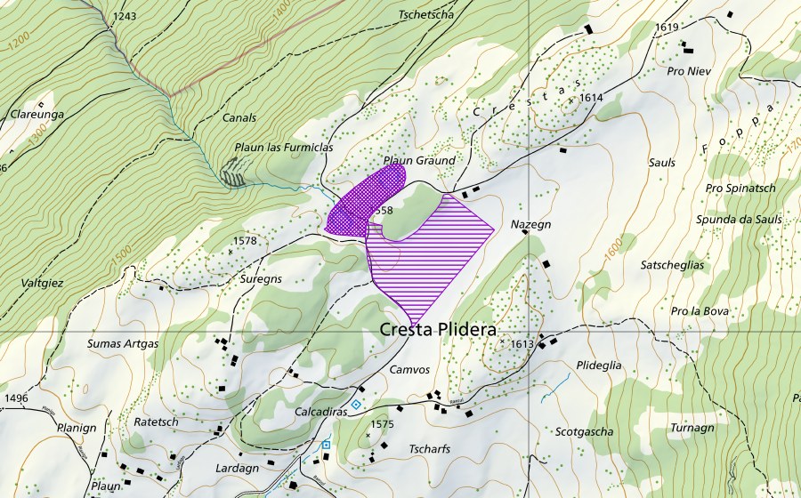 Carte nationale swisstopo avec le périmètre protégé de Pro Niev (Site de reproduction de batraciens)