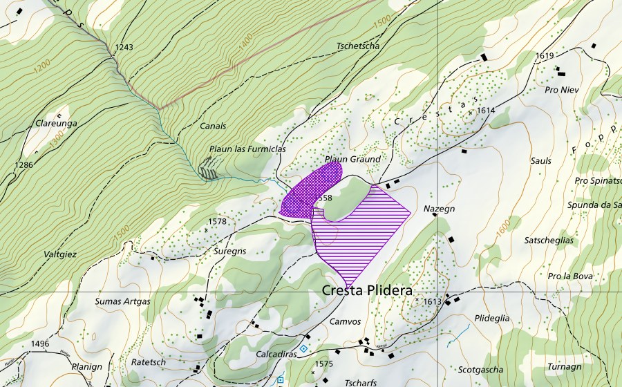 Landeskarte swisstopo mit dem Schutzperimeter von Pro Niev (Amphibienlaichgebiet)
