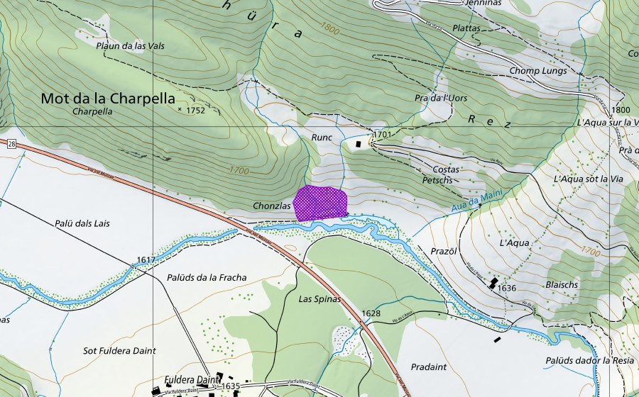 Landeskarte swisstopo mit dem Schutzperimeter von Punt Planet (Amphibienlaichgebiet)