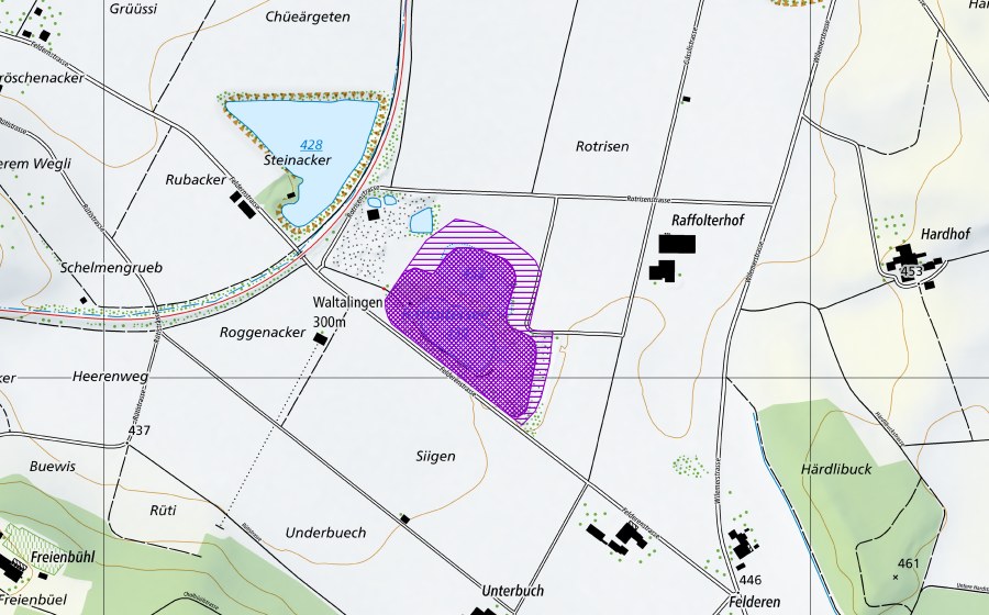 swisstopo national map showing the protected perimeter of Raffoltersee (Amphibian spawning site)