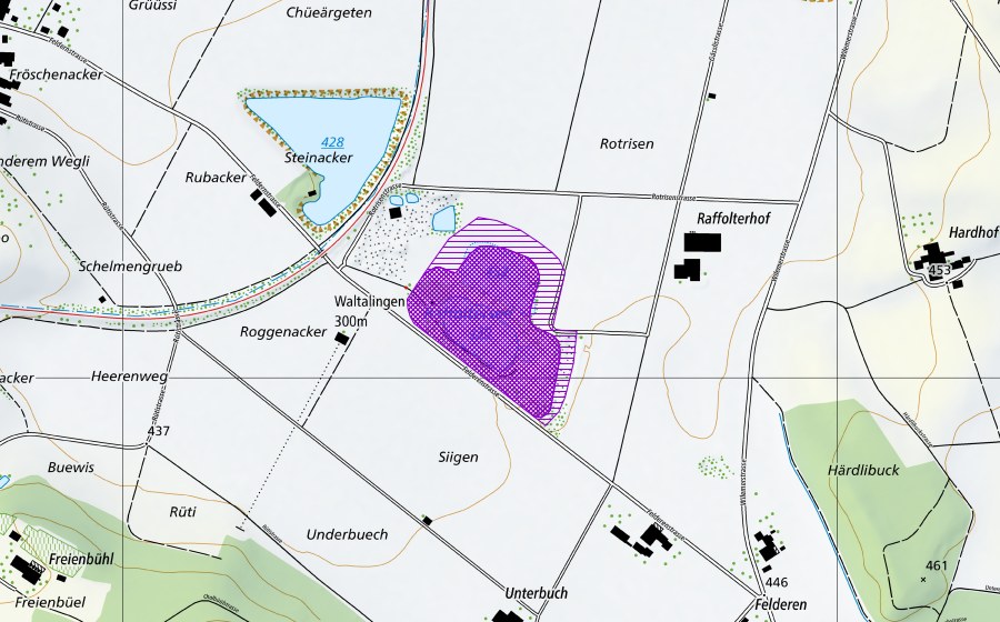 Landeskarte swisstopo mit dem Schutzperimeter von Raffoltersee (Amphibienlaichgebiet)