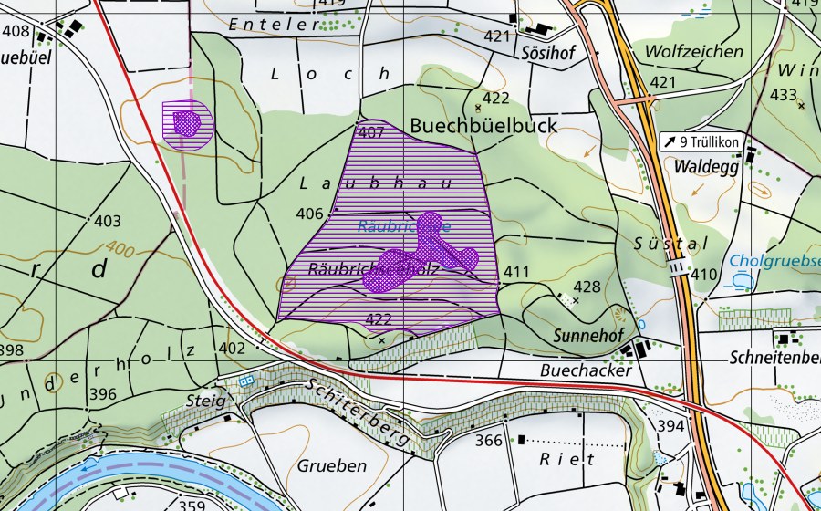 Carte nationale swisstopo avec le périmètre protégé de Räubrichseen (Site de reproduction de batraciens)