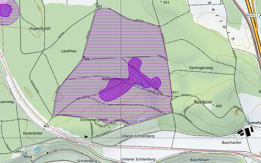 Landeskarte swisstopo mit dem Schutzperimeter von Räubrichseen (Amphibienlaichgebiet)