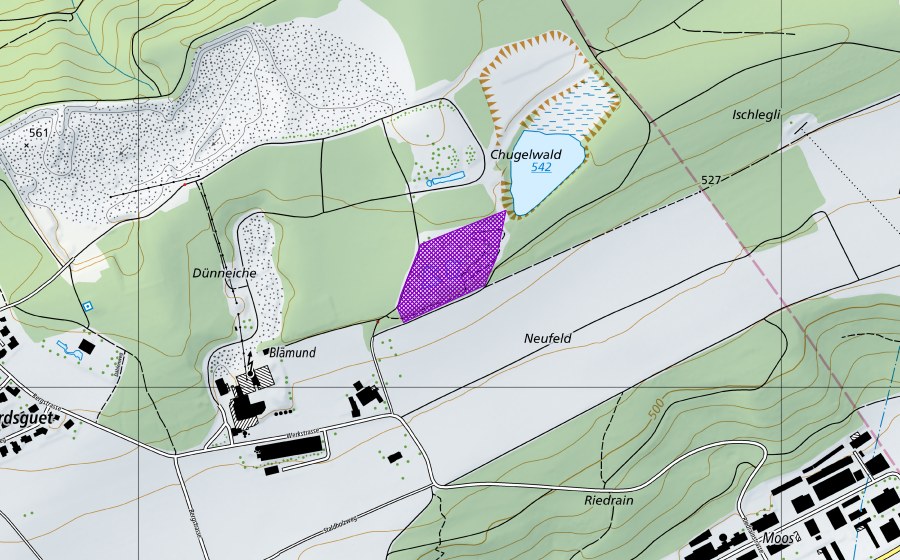 swisstopo national map showing the protected perimeter of Reservat Gryfeberg (Amphibian spawning site)