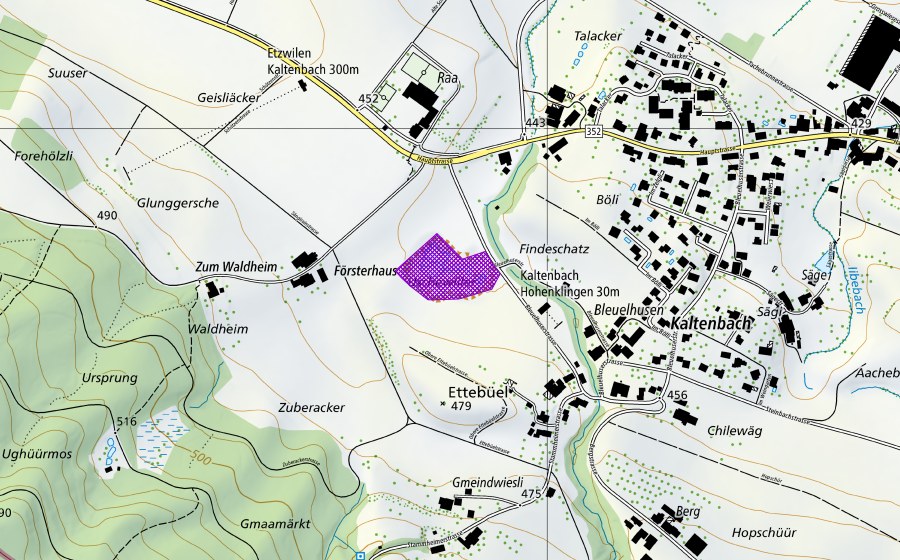 Landeskarte swisstopo mit dem Schutzperimeter von Reservat Schule Kaltenbach (Amphibienlaichgebiet)