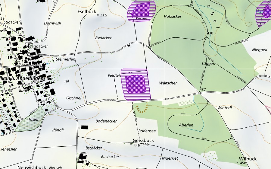 swisstopo national map showing the protected perimeter of Ried beim Scheibenstand (Amphibian spawning site)