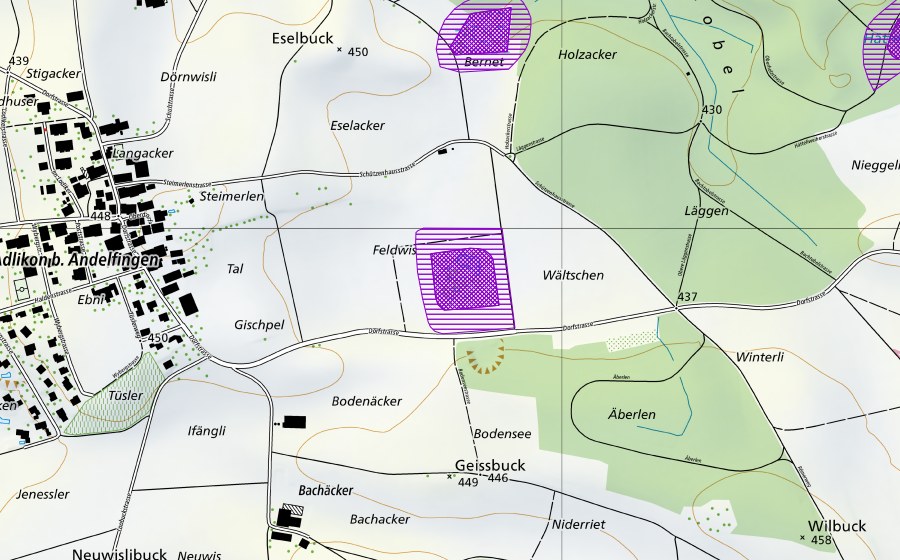 Carte nationale swisstopo avec le périmètre protégé de Ried beim Scheibenstand (Site de reproduction de batraciens)