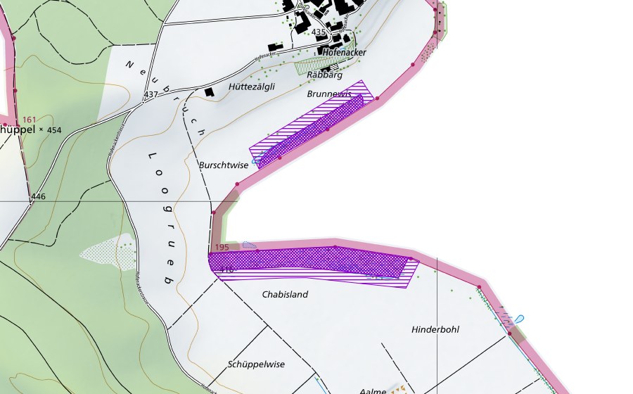 Landeskarte swisstopo mit dem Schutzperimeter von Ried/Lehmgrueb Hofenacker (Amphibienlaichgebiet)