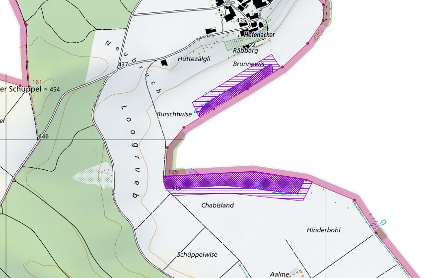 Landeskarte swisstopo mit dem Schutzperimeter von Ried/Lehmgrueb Hofenacker (Amphibienlaichgebiet)