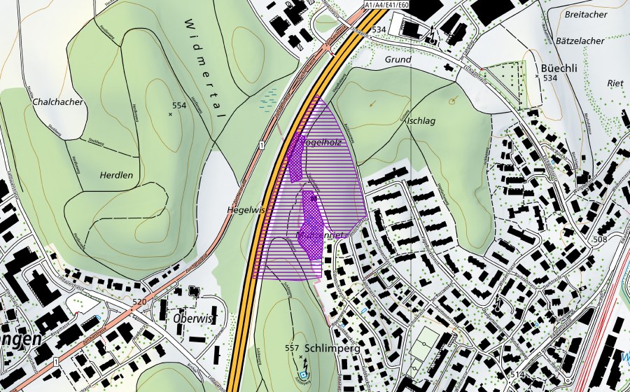 swisstopo national map showing the protected perimeter of Ried Schlimberg/Vogelholz (Amphibian spawning site)