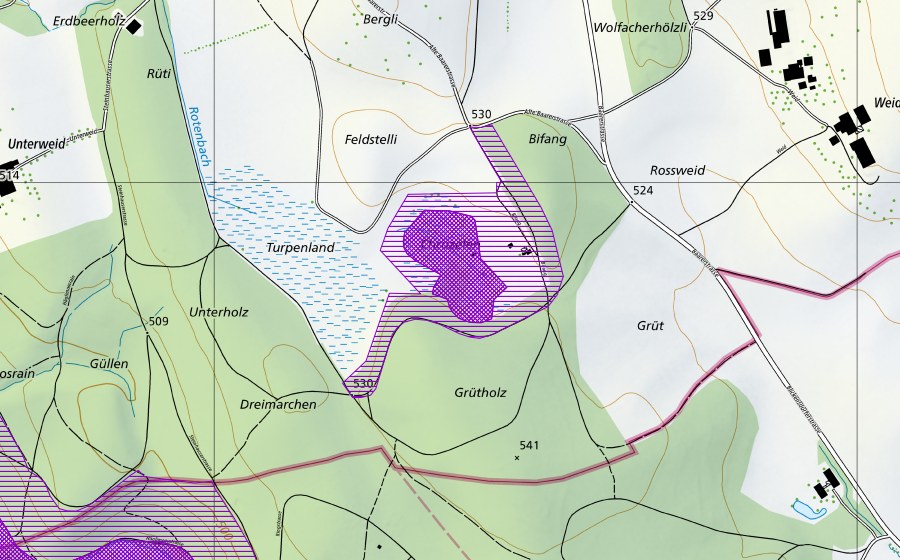 Landeskarte swisstopo mit dem Schutzperimeter von Ried südl. Uerzlikon (Amphibienlaichgebiet)