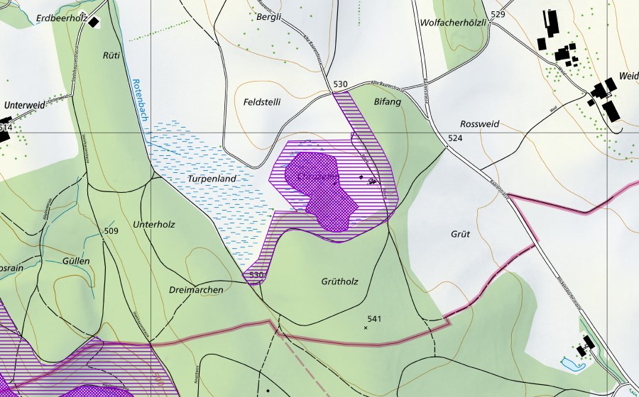 Carte nationale swisstopo avec le périmètre protégé de Ried südl. Uerzlikon (Site de reproduction de batraciens)