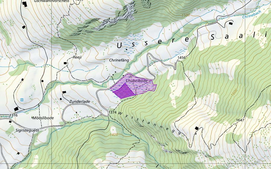 swisstopo national map showing the protected perimeter of Riedgebiet Saligrabe (Amphibian spawning site)