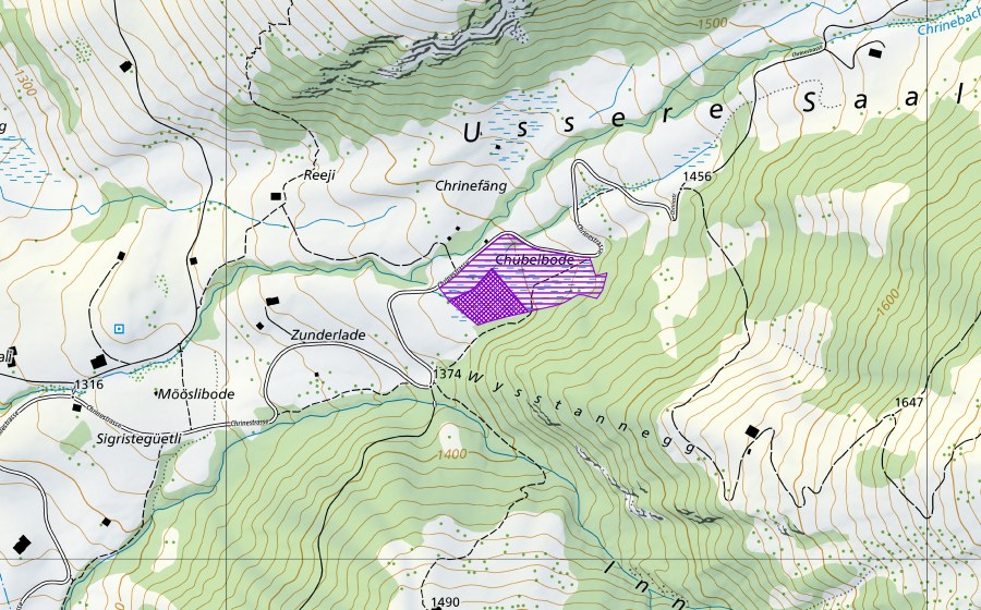 Landeskarte swisstopo mit dem Schutzperimeter von Riedgebiet Saligrabe (Amphibienlaichgebiet)