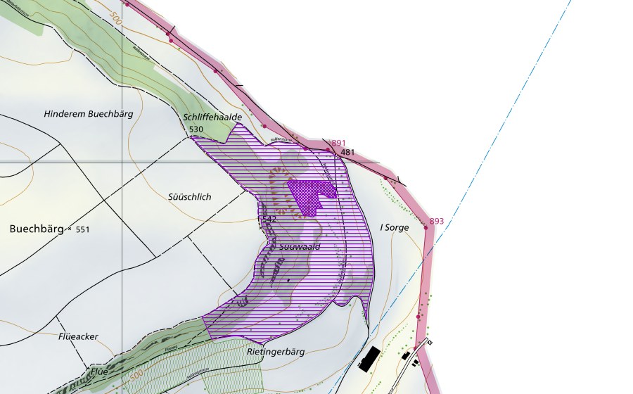Landeskarte swisstopo mit dem Schutzperimeter von Riedgebiet Schliffenhalde (Amphibienlaichgebiet)