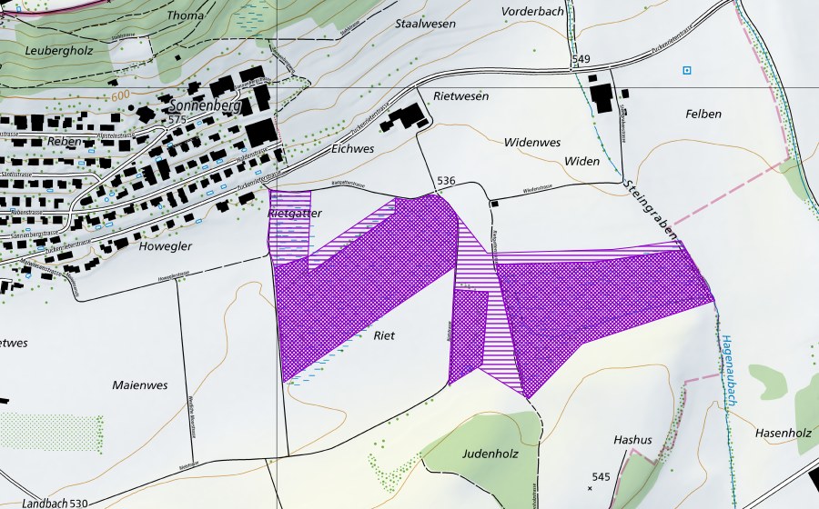 Carte nationale swisstopo avec le périmètre protégé de Riet Zuzwil (Site de reproduction de batraciens)