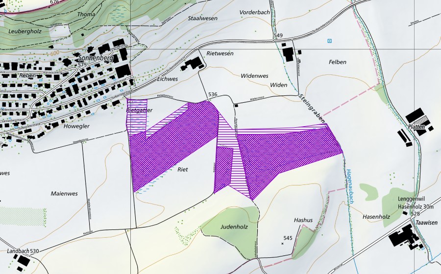 swisstopo national map showing the protected perimeter of Riet Zuzwil (Amphibian spawning site)