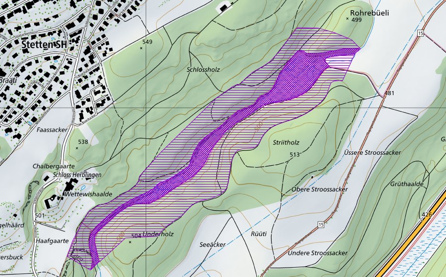 Landeskarte swisstopo mit dem Schutzperimeter von Rohrenbüeli-Stritholz (Amphibienlaichgebiet)