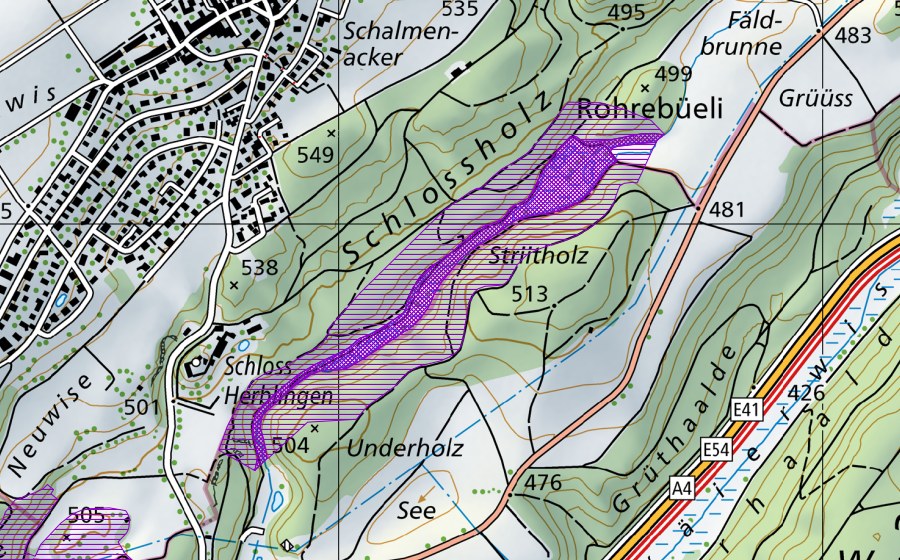 Carta nazionale swisstopo con il perimetro protetto di Rohrenbüeli-Stritholz (Sito di riproduzione di anfibi)