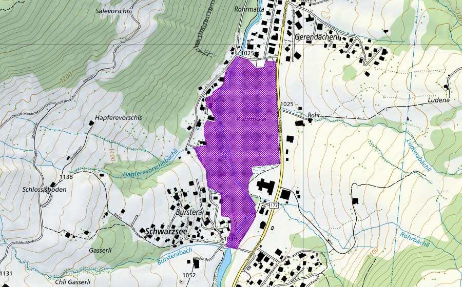 swisstopo national map showing the protected perimeter of Rohrmoos (Amphibian spawning site)