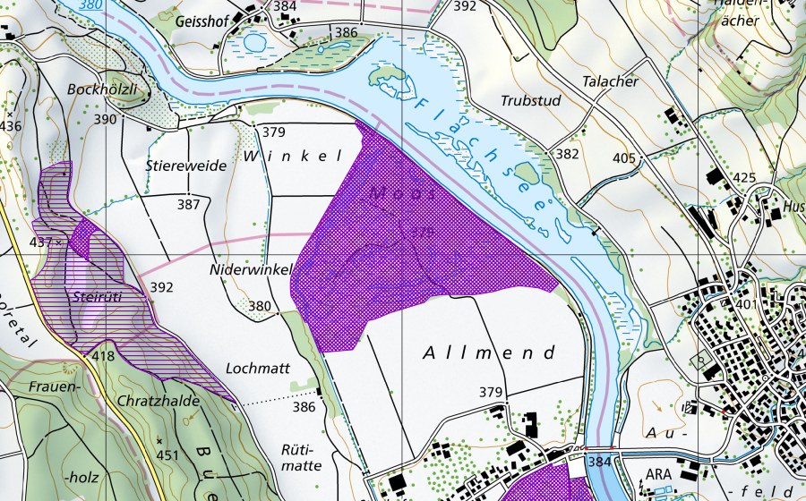 Landeskarte swisstopo mit dem Schutzperimeter von Rottenschwiler Moos (Amphibienlaichgebiet)