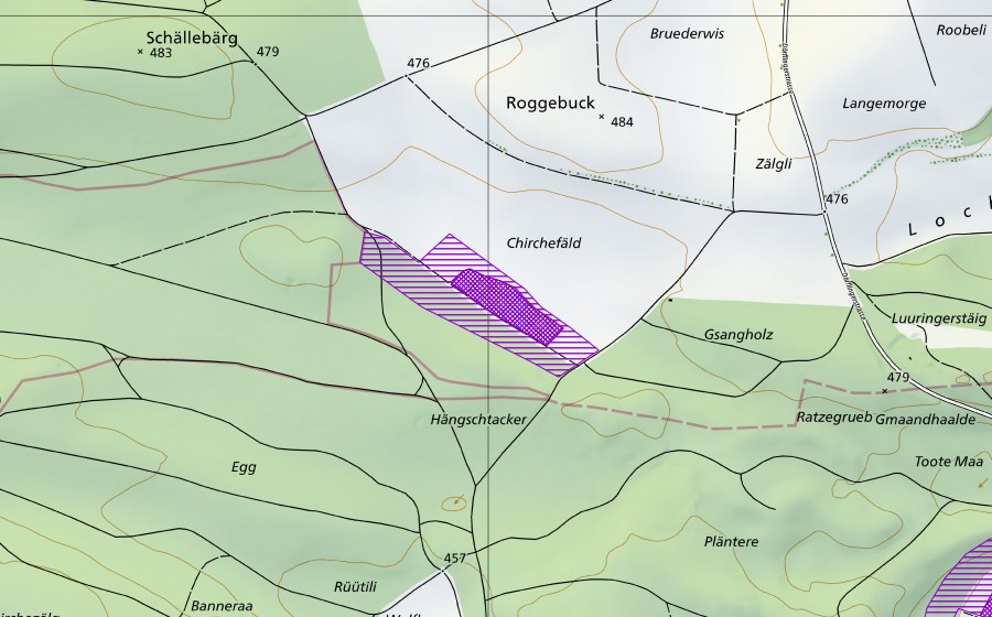 Landeskarte swisstopo mit dem Schutzperimeter von Rudolfensee (Amphibienlaichgebiet)