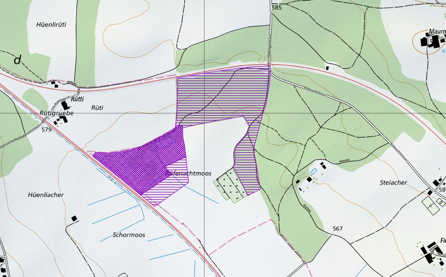 swisstopo national map showing the protected perimeter of Rüfenachtmoos (Amphibian spawning site)