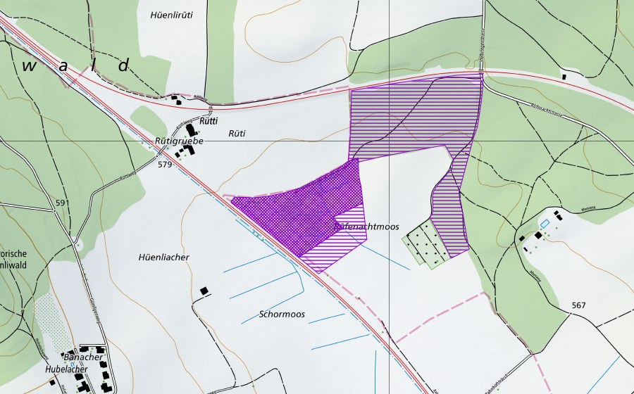 swisstopo national map showing the protected perimeter of Rüfenachtmoos (Amphibian spawning site)
