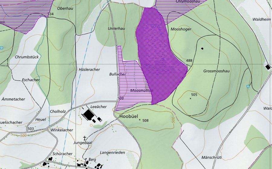 Landeskarte swisstopo mit dem Schutzperimeter von Rütermoos (Amphibienlaichgebiet)
