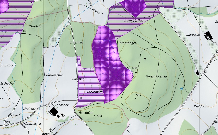 swisstopo national map showing the protected perimeter of Rütermoos (Amphibian spawning site)